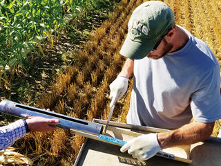 Farming practices cover crops